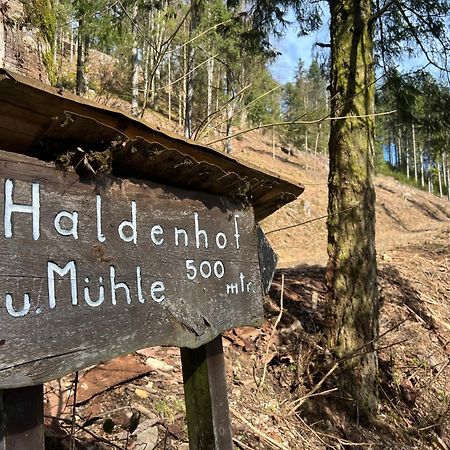 Ferienwohnung Im Loft-Style Mit Sauna Im Historischen Schwarzwaldhof سيمونسوالد المظهر الخارجي الصورة